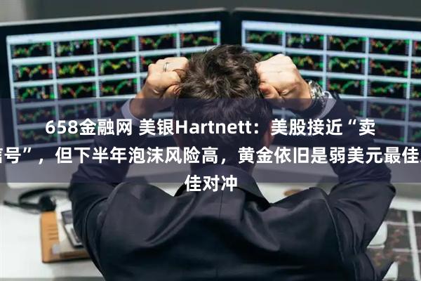 658金融网 美银Hartnett：美股接近“卖出信号”，但下半年泡沫风险高，黄金依旧是弱美元最佳对冲