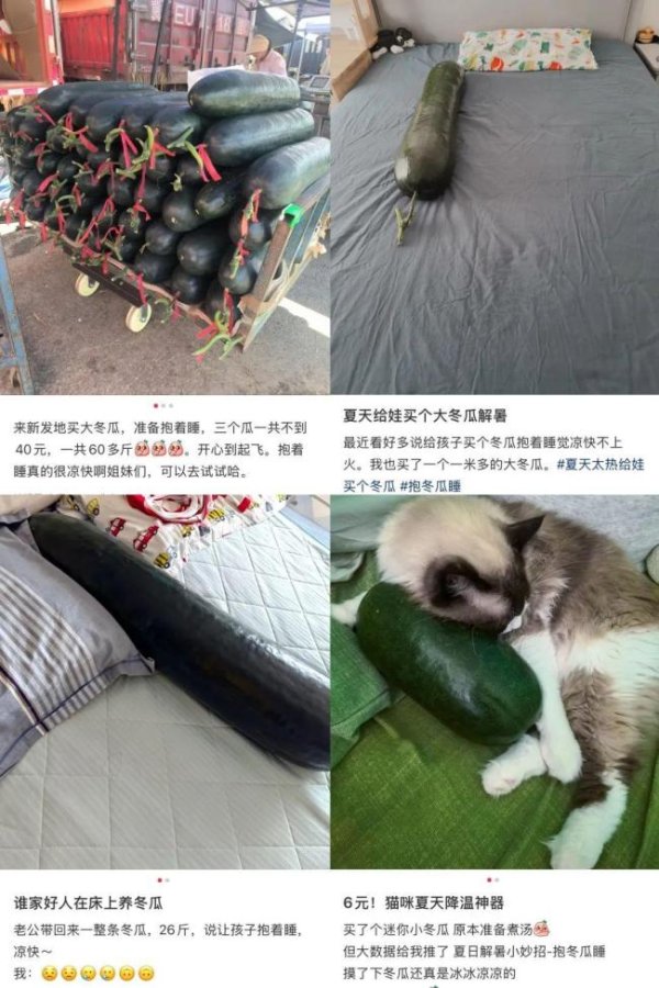 牛津配资 “抱冬瓜睡觉”走红医生紧急提醒 防暑降温有讲究