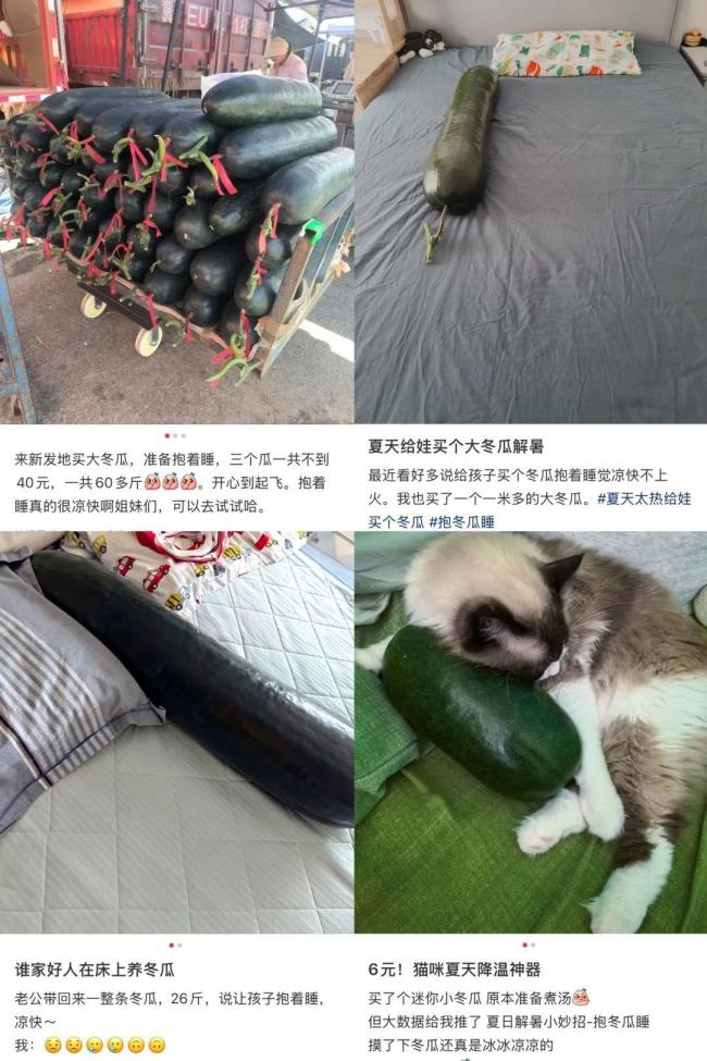 “抱冬瓜睡觉”走红医生紧急提醒